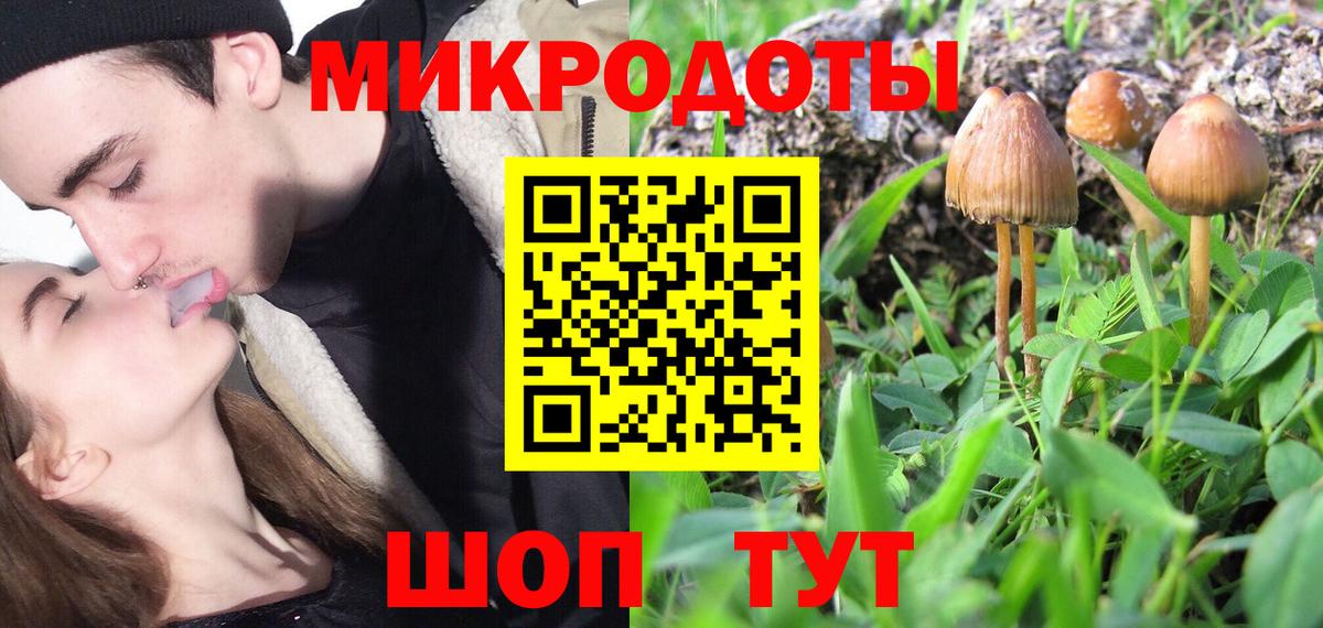 Галлюциногенные грибы MAGIC MUSHROOMS  Вход с VPN  Отрадное  где можно купить   Псилоцибиновые грибы мицелий 